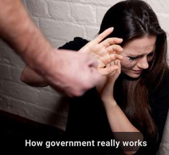 how government really works